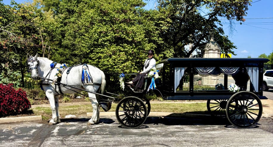 Gallery photo 6 of St. Louis Horse Drawn Carriage & Funeral