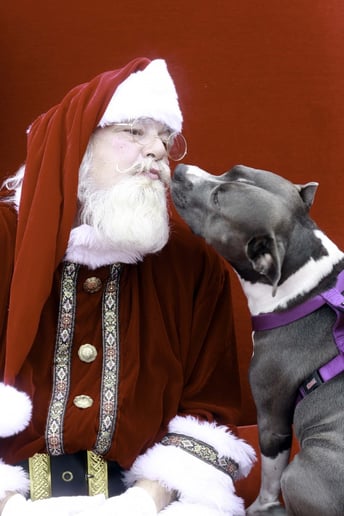 Gallery photo 7 of St Pete Santa