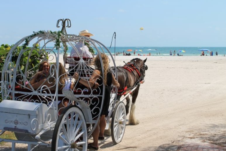 Gallery photo 1 of St Petersburg Carriages