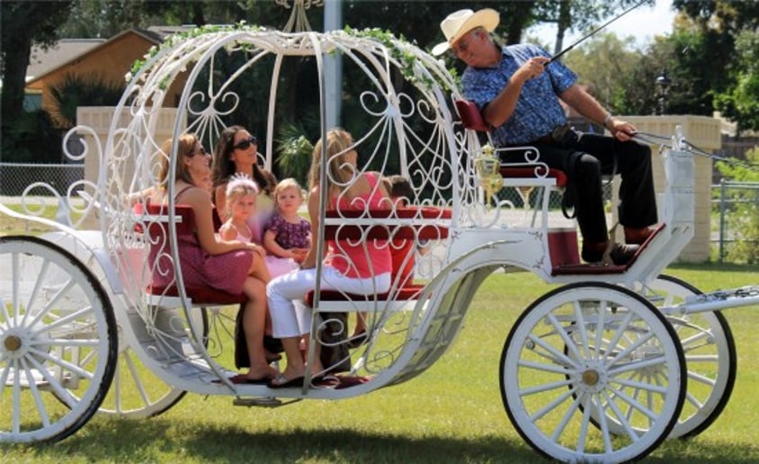 Gallery photo 3 of St Petersburg Carriages