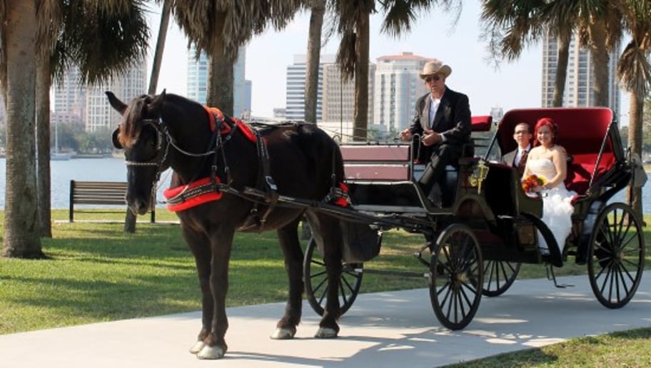 Gallery photo 4 of St Petersburg Carriages