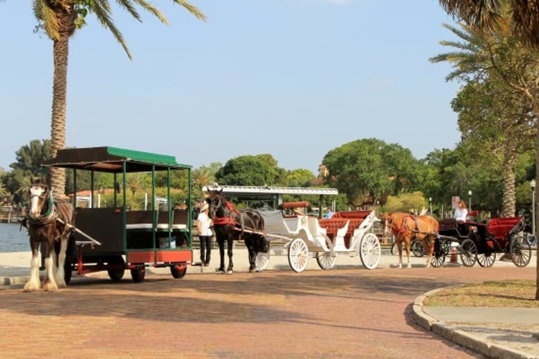 Gallery photo 5 of St Petersburg Carriages