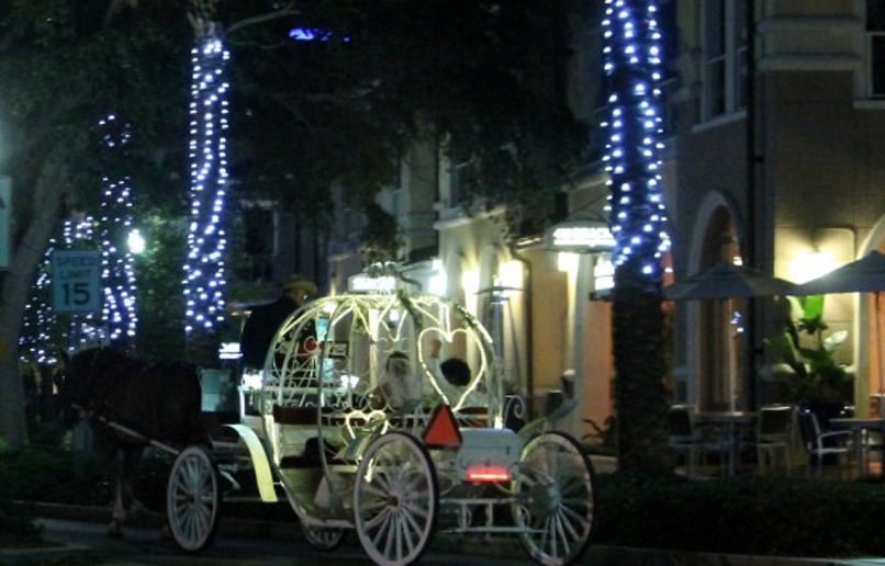 Gallery photo 8 of St Petersburg Carriages