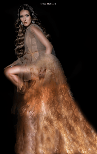 Gallery photo 4 of StageFolio