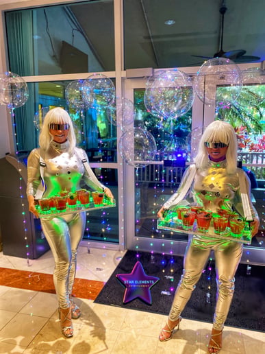 Gallery photo 9 of Star Elements Entertainment