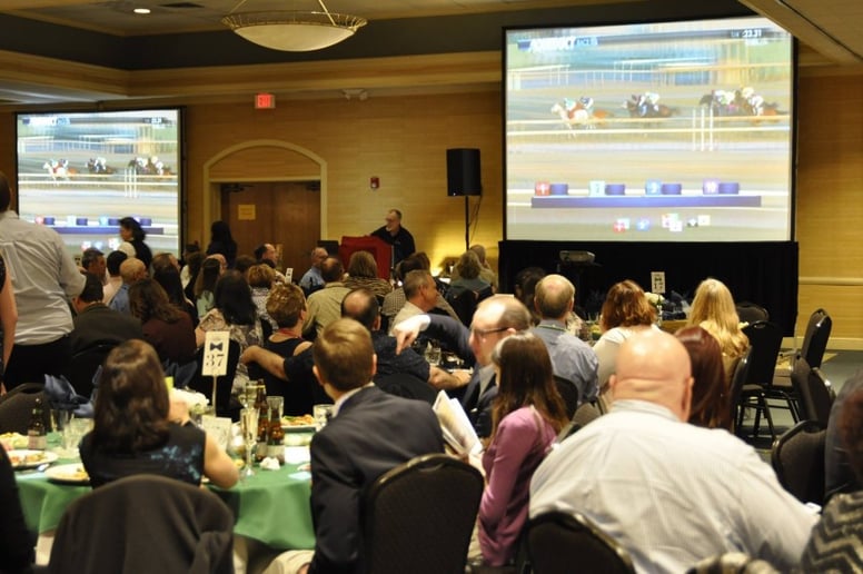 Gallery photo 5 of Star Night at the Races