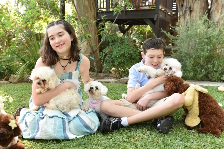 Gallery photo 1 of Star Poodlez