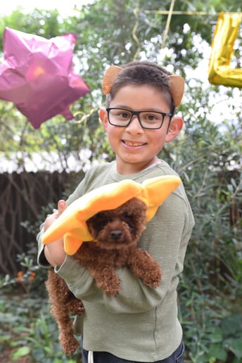 Gallery photo 4 of Star Poodlez