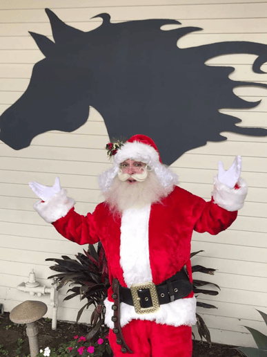 Gallery photo 25 of Star Quality Parties & OC Santa Claus