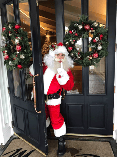 Gallery photo 14 of Star Quality Parties & OC Santa Claus