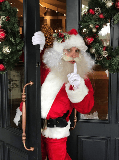 Gallery photo 6 of Star Quality Parties & OC Santa Claus
