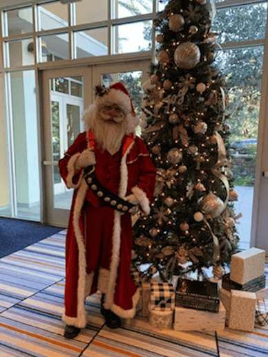 Gallery photo 36 of Star Quality Parties & OC Santa Claus