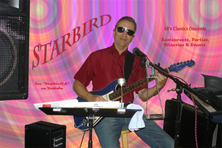 Gallery photo 1 of Starbird
