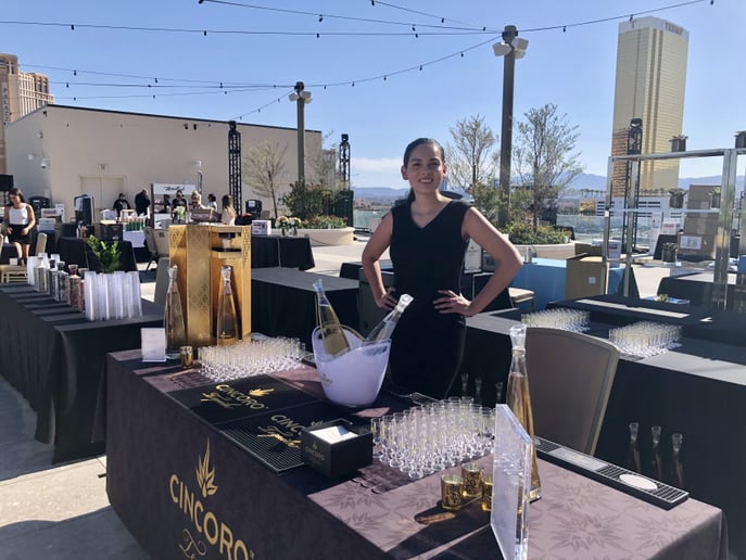 Gallery photo 1 of Stardust mobile bartending