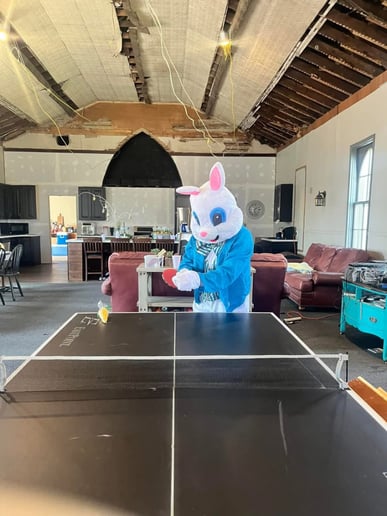 Gallery photo 4 of Stardust the Easter Bunny