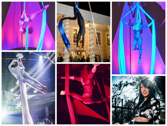 Gallery photo 1 of Stargazer Aerials