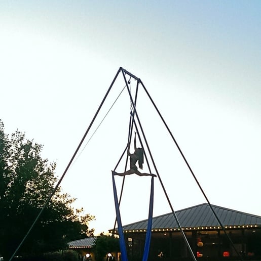 Gallery photo 5 of Stargazer Aerials