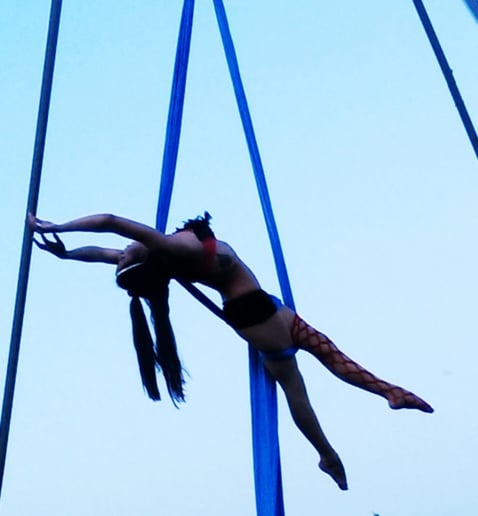 Gallery photo 6 of Stargazer Aerials