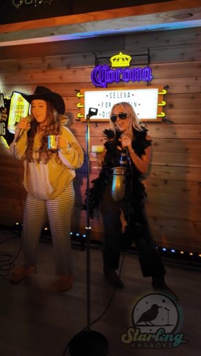 Gallery photo 4 of Starling Karaoke