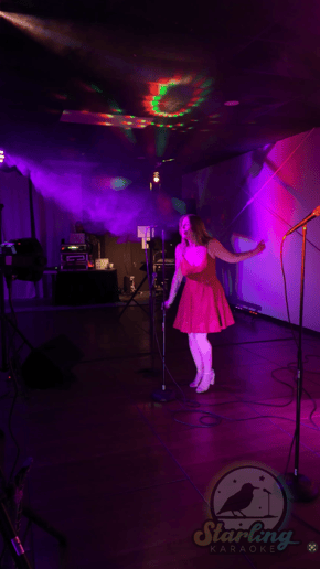 Gallery photo 2 of Starling Karaoke