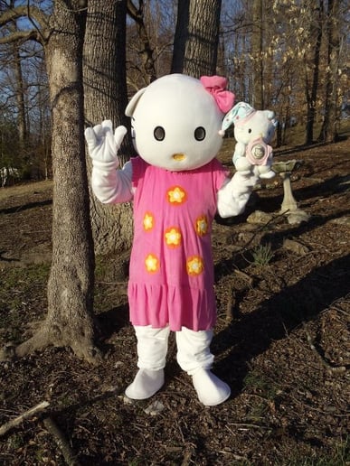Gallery photo 8 of Star The Clown & Troupe