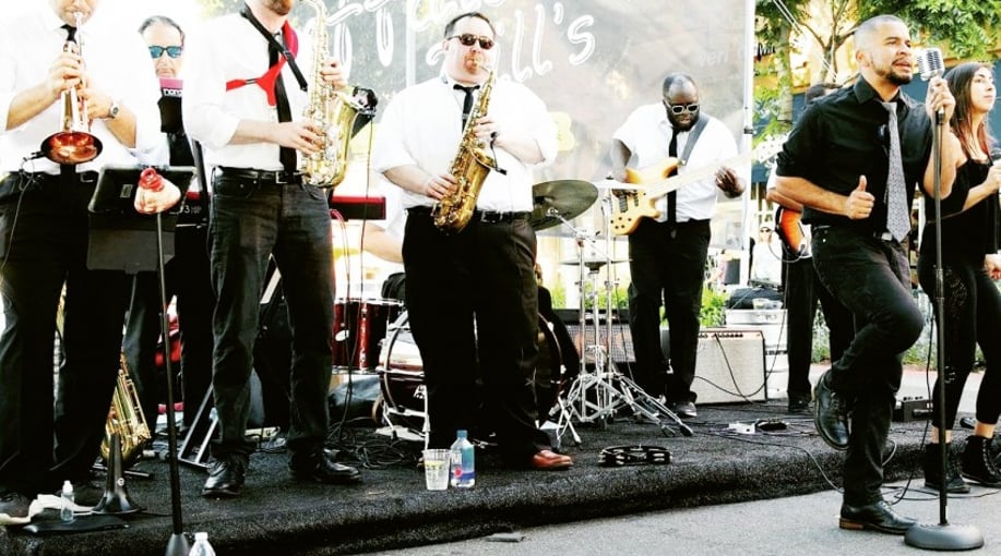 Gallery photo 3 of Steady Eddy and the Shakers