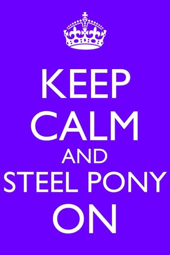 Gallery photo 2 of Steel Pony Band