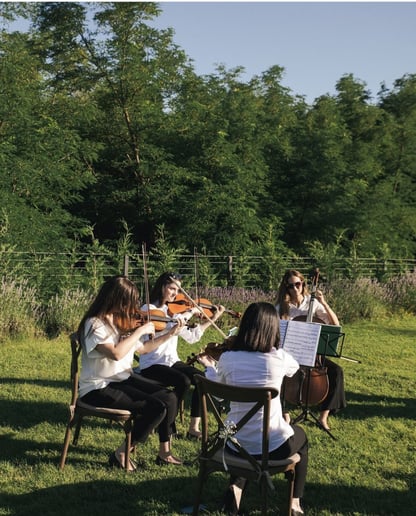Gallery photo 5 of Stela Mkrtichian, Violinist