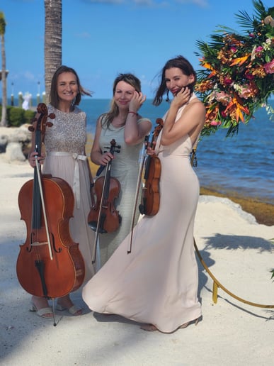 Gallery photo 1 of Stella Strings