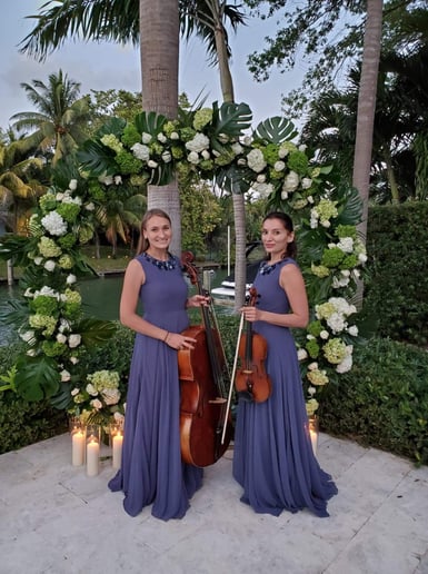 Gallery photo 4 of Stella Strings