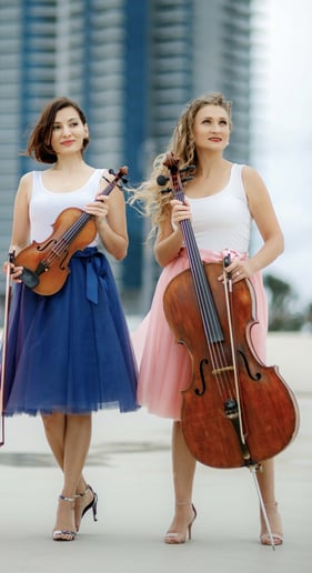 Gallery photo 10 of Stella Strings
