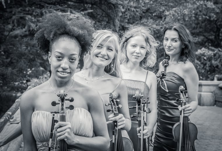 Gallery photo 1 of Stellar Strings