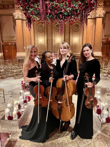 Gallery photo 7 of Stellar Strings