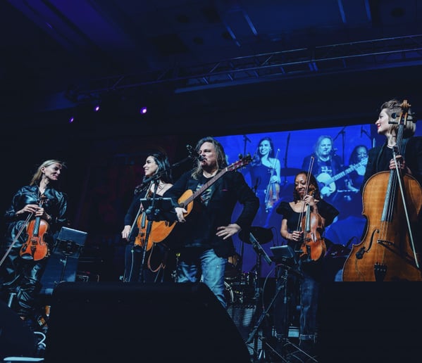 Gallery photo 4 of Stellar Strings