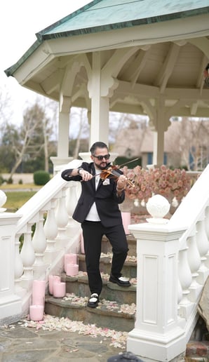 Gallery photo 2 of StepanViolin|Wedding & Event Violinist
