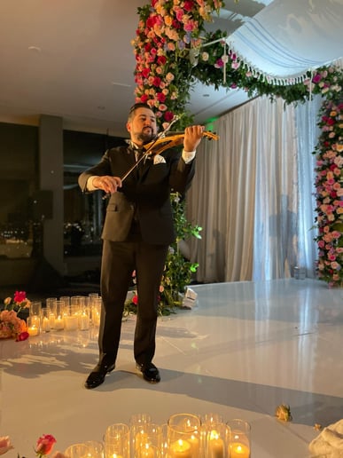 Gallery photo 8 of StepanViolin|Wedding & Event Violinist