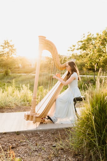 Gallery photo 2 of Stephanie - Harpist