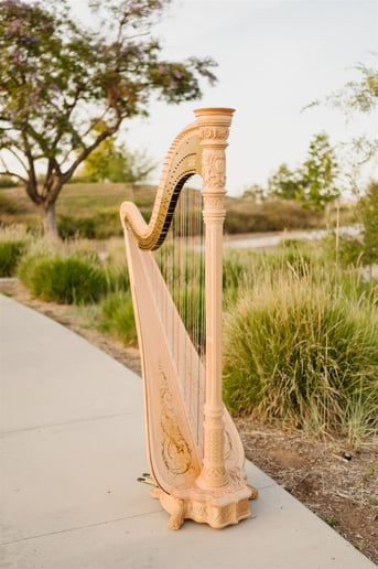 Gallery photo 5 of Stephanie - Harpist