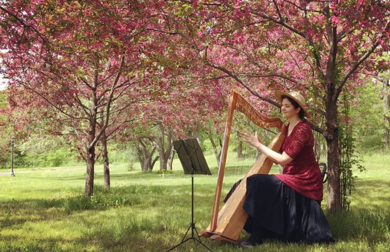 Gallery photo 4 of Stephanie Claussen, harpist