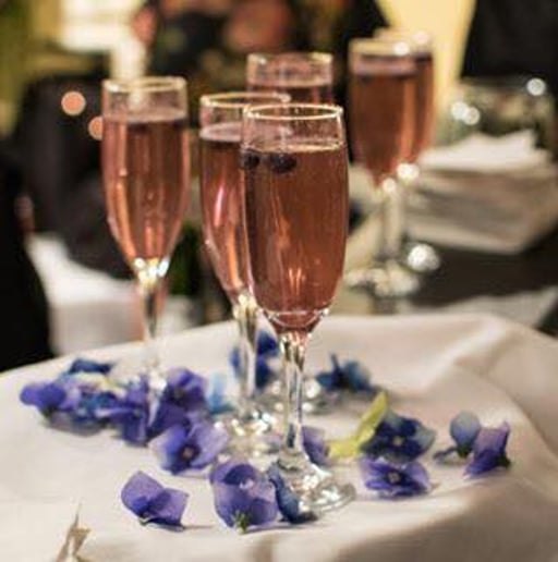 Gallery photo 5 of Stephanie Scott-Huffman Photography