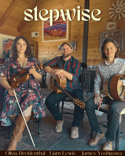 Gallery photo 3 of Stepwise Celtic Band