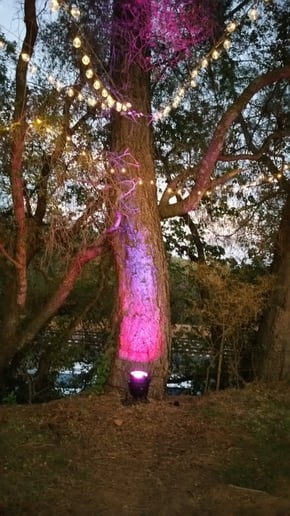 Gallery photo 6 of Stereo Fusion ENT.