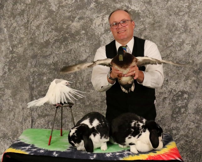 Gallery photo 29 of Steve Belliveau