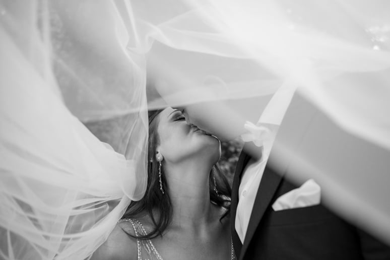 Gallery photo 1 of Steve Broy Photography