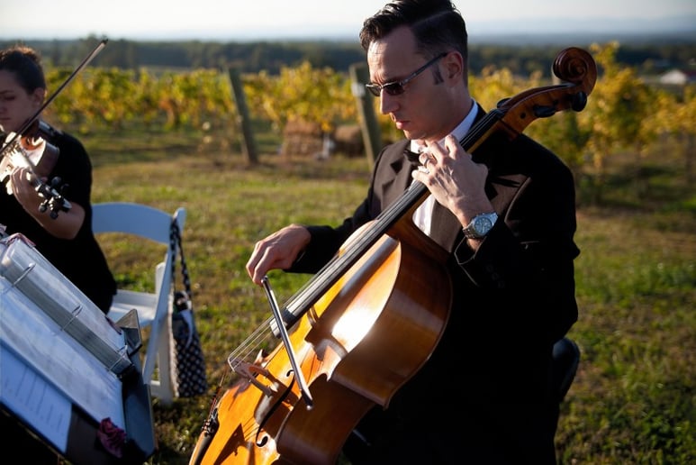 Gallery photo 2 of Steve Holman Cellist