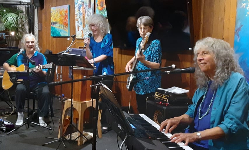 Gallery photo 5 of Steven Radice Oldies, Swing, & Rock Party