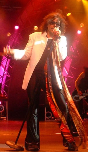 Gallery photo 2 of Steven Tyler Impersonator