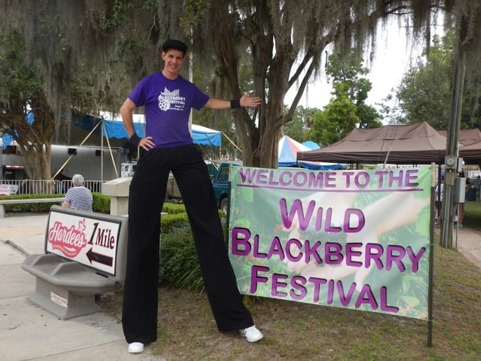 Gallery photo 22 of Stilt Fun