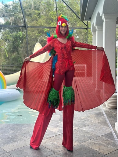 Gallery photo 7 of Stilt Walker Amber A Tampa Bay