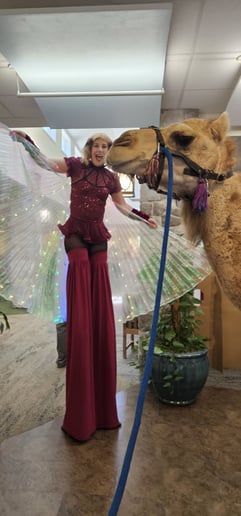 Gallery photo 25 of Dakota Fox Entertainment